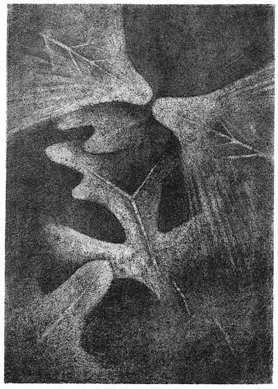 Bohuslav Reynek / Podzimní motýli / litografie / 1972